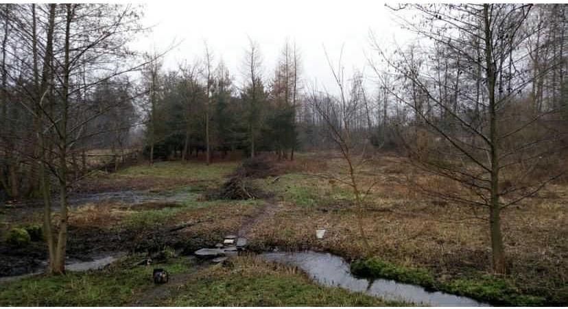 Działka rolno-budowlana Waleriany. Zdjęcie 5