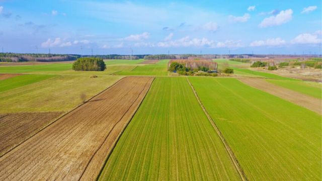 Działka budowlana Stare Modzele. Zdjęcie 6