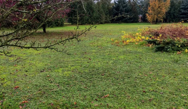 Działka budowlana Świdwin, ul. Spacerowa