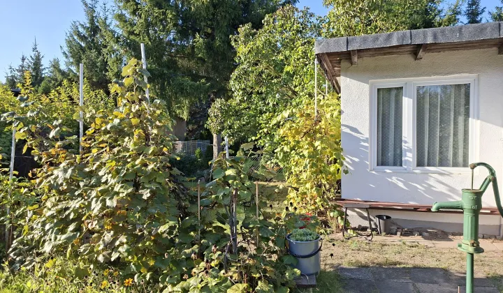 Działka rod Poznań Ławica, ul. Złotowska