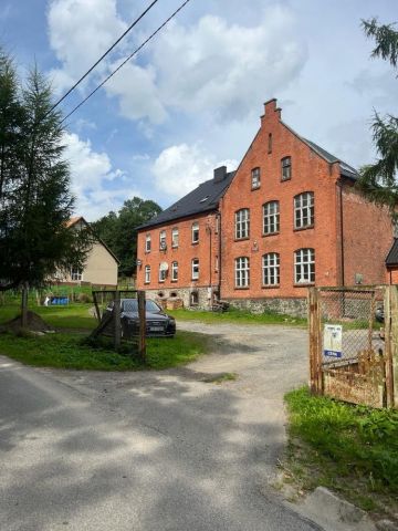 bliźniak Pastewnik. Zdjęcie 1