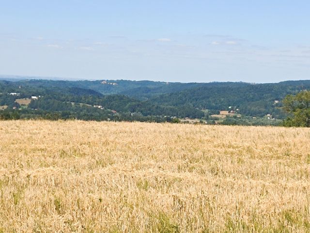 Działka budowlana Zbydniów. Zdjęcie 1