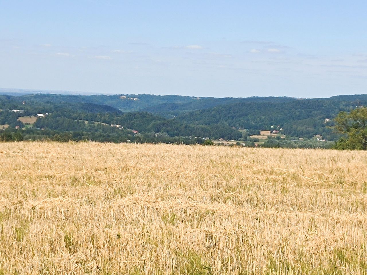 Działka budowlana Zbydniów. Zdjęcie 1