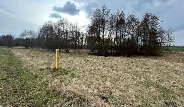 Działka budowlana Pyrzyce, ul. Adama Mickiewicza