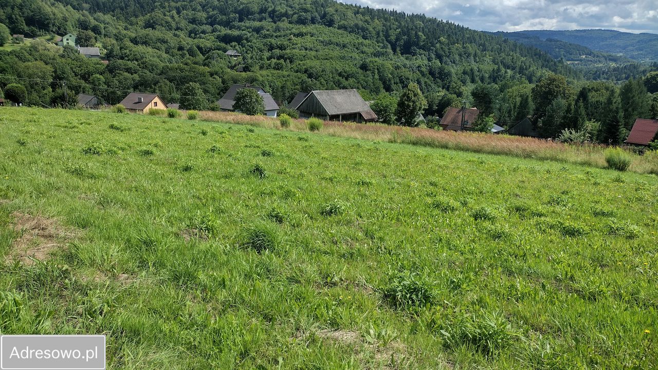 Działka rolno-budowlana Zachełmna. Zdjęcie 7