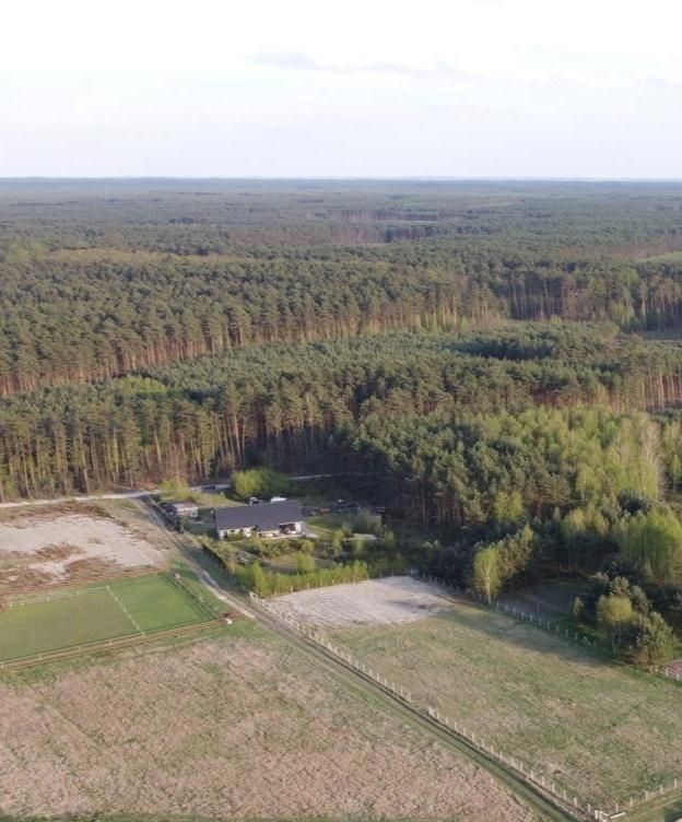 dom wolnostojący, 4 pokoje Grotów. Zdjęcie 17