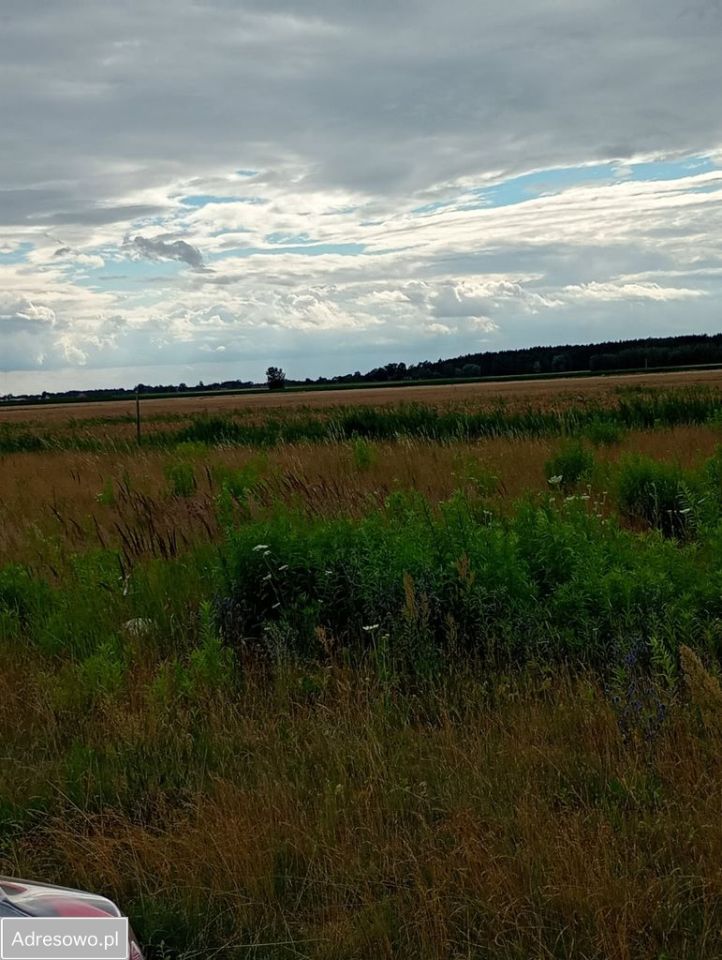 Działka budowlana Podkampinos. Zdjęcie 5