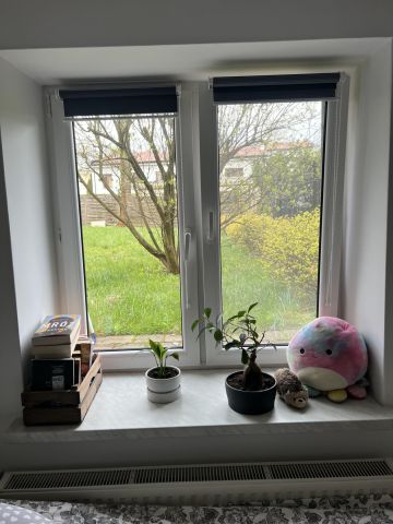 Mieszkanie 2-pokojowe Wierbka, ul. Kościelna. Zdjęcie 1