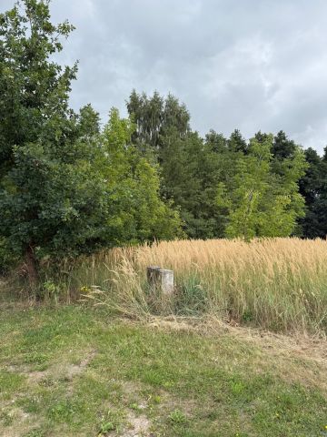 Działka budowlana Kuznocin. Zdjęcie 1