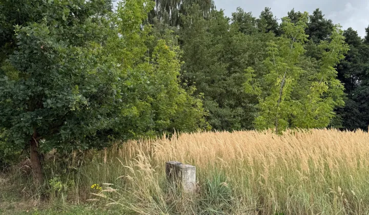 Działka budowlana Kuznocin