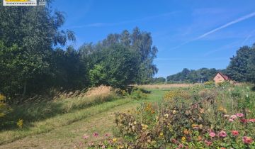 Działka siedliskowa Parlino