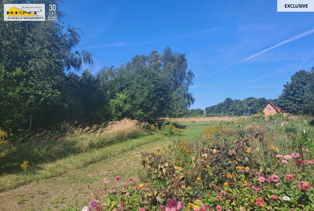 Działka siedliskowa Parlino. Zdjęcie 2