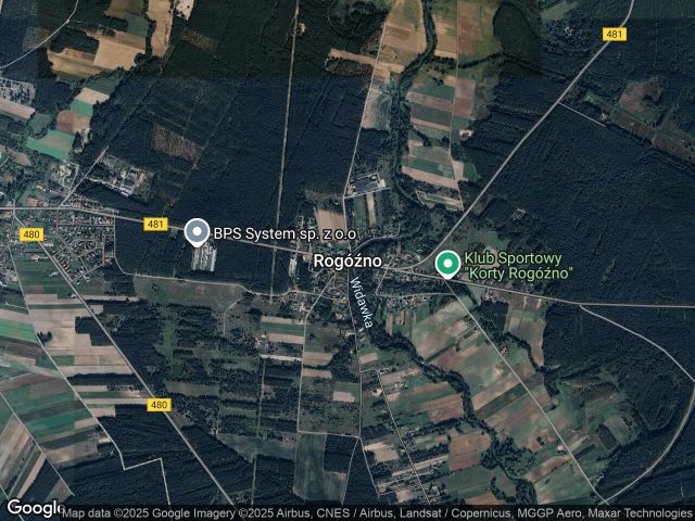 Działka leśna Rogóźno. Zdjęcie 1