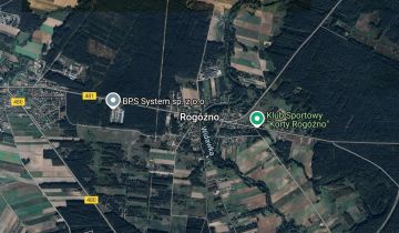Działka leśna Rogóźno