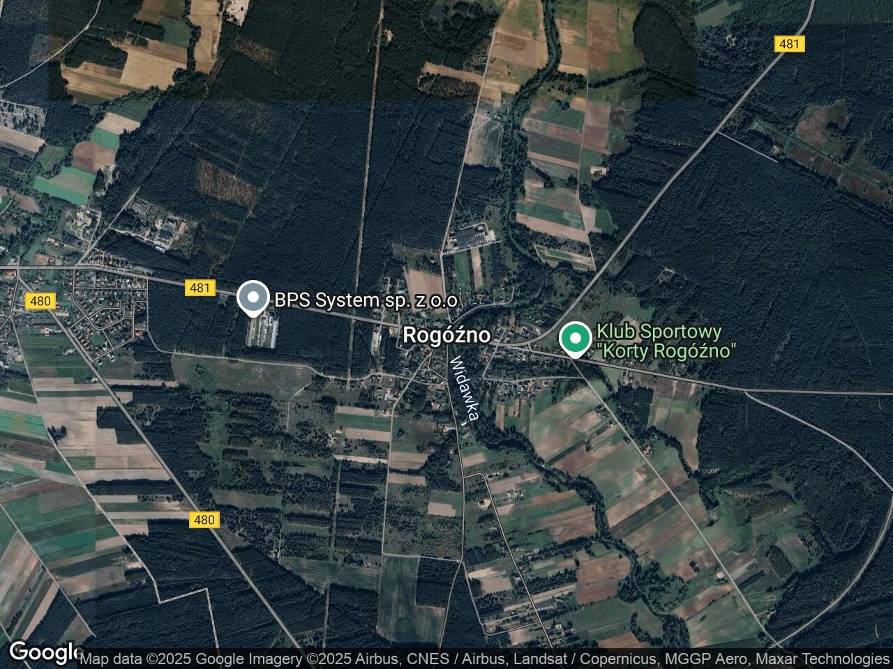 Działka leśna Rogóźno