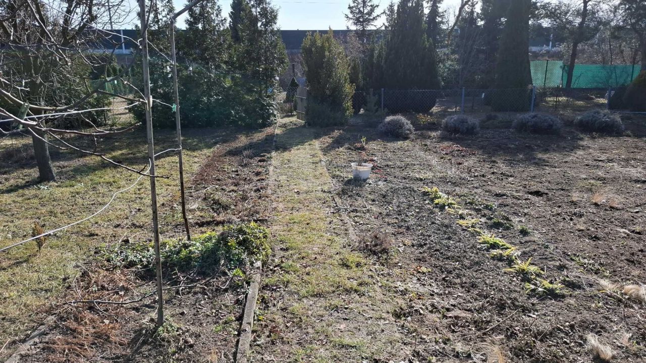 Działka rod Kutno. Zdjęcie 3