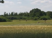 Działka rolna Zezulin Niższy. Zdjęcie 2