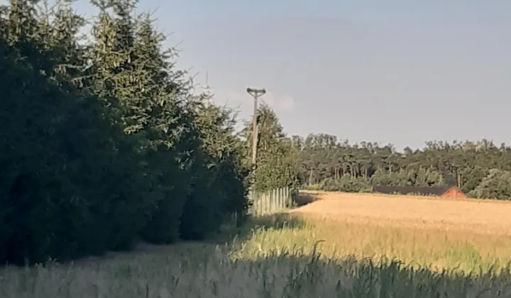 Działka budowlana Przyborowo, ul. Aladyna