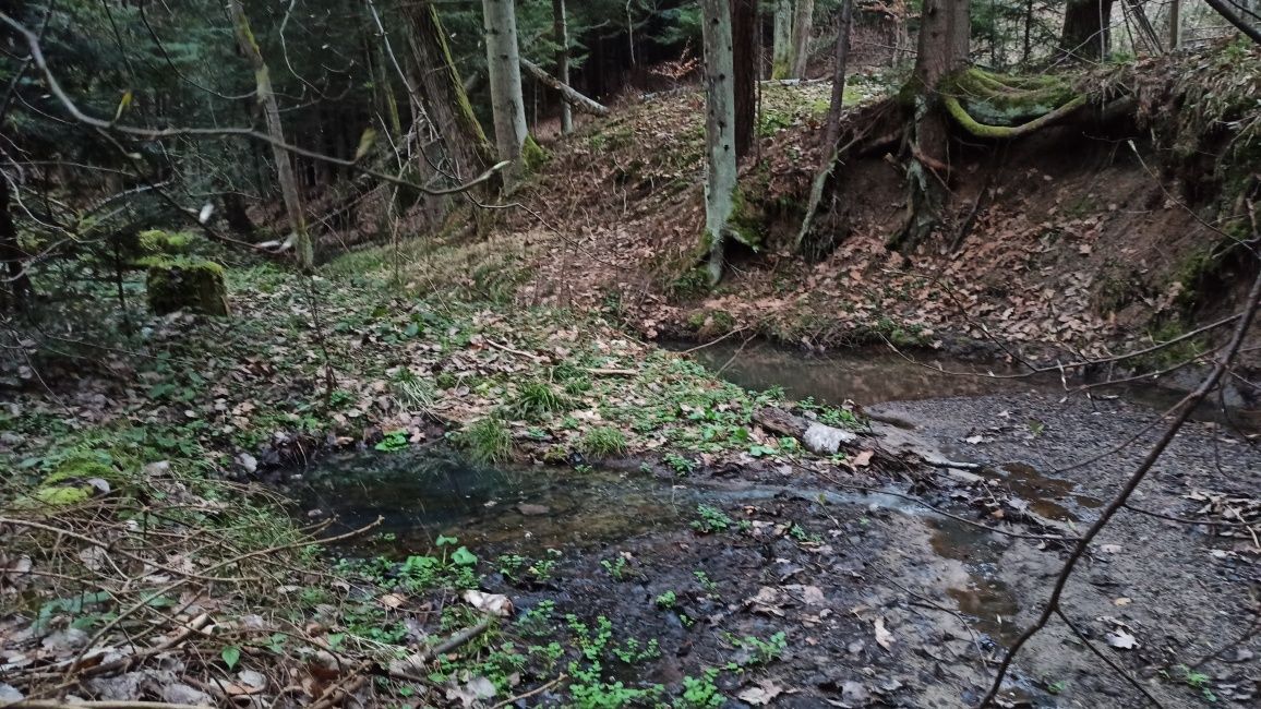 Działka Strzeszyn. Zdjęcie 4