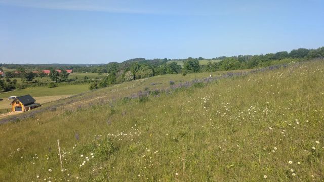 Działka rolno-budowlana Sikory. Zdjęcie 9