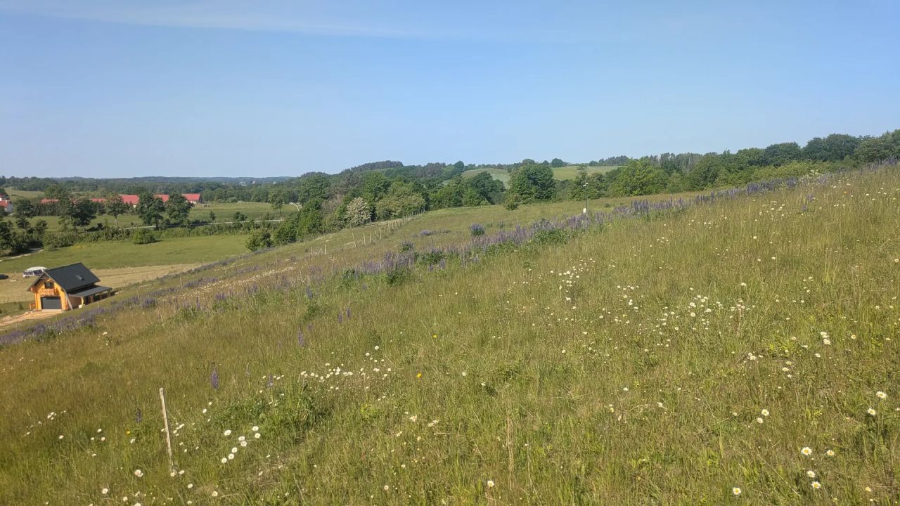 Działka rolno-budowlana Sikory. Zdjęcie 9