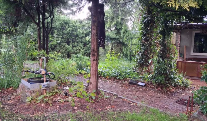 Działka rod Kościan