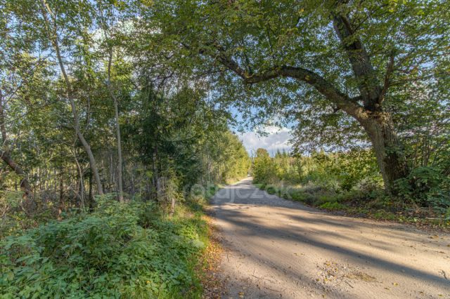 Działka rekreacyjna Choczewo, ul. Jeziorna. Zdjęcie 10