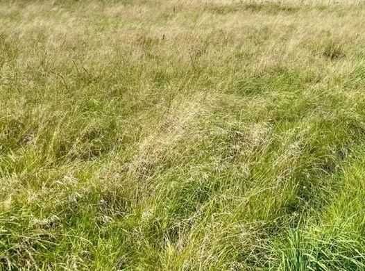 Działka budowlana Rusinowo. Zdjęcie 1