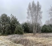 Działka budowlana Nowy Wilków. Zdjęcie 3