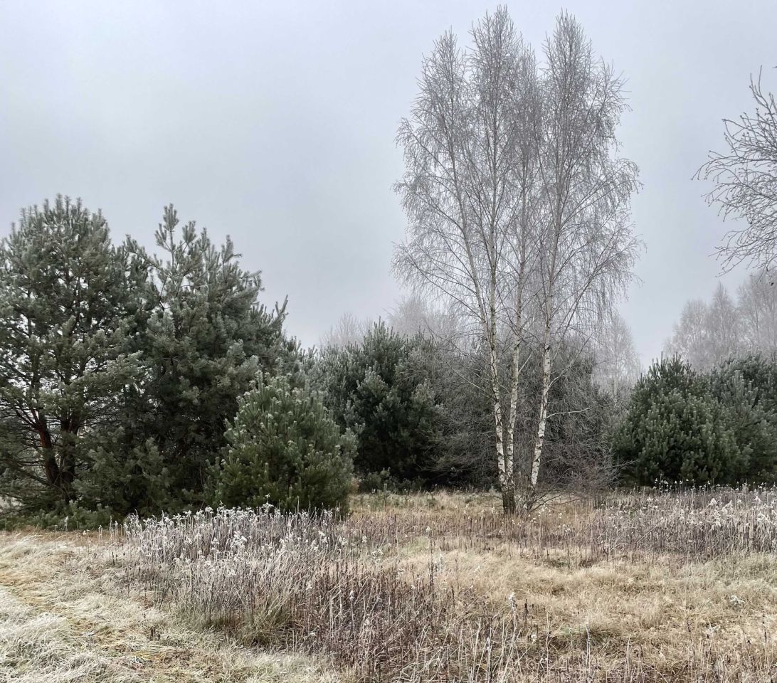 Działka budowlana Nowy Wilków. Zdjęcie 4