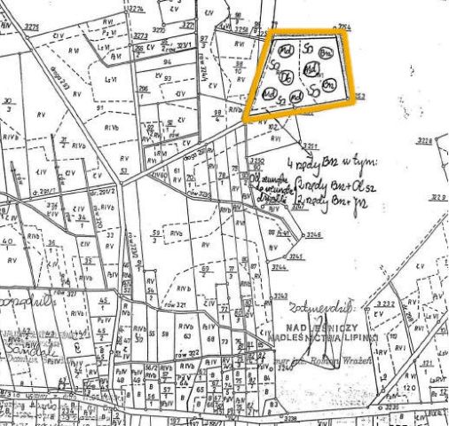 Działka leśna Zajączek. Zdjęcie 4