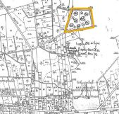 Działka leśna Zajączek. Zdjęcie 3