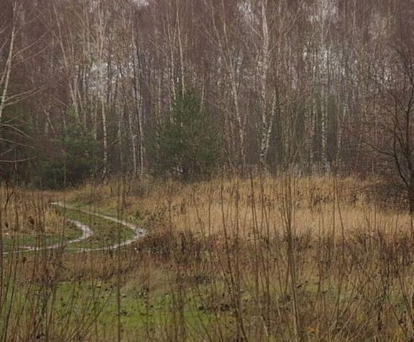 Działka inwestycyjna Koziegłowy, ul. Piaskowa. Zdjęcie 7