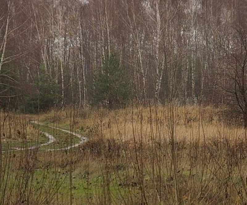 Działka inwestycyjna Koziegłowy, ul. Piaskowa. Zdjęcie 7