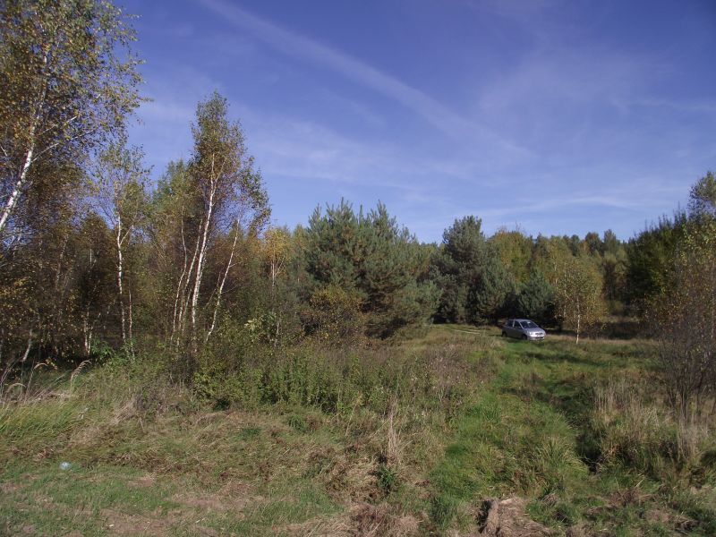 Działka siedliskowa Radomia Orzewo. Zdjęcie 4