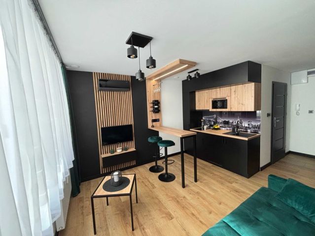 Mieszkanie 1-pokojowe Cieszyn, ul. Stanisława Moniuszki. Zdjęcie 1