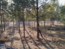 Działka budowlana Ołdakowizna. Zdjęcie 1