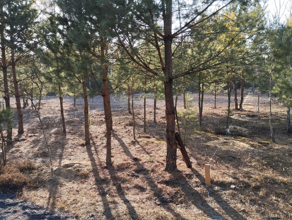 Działka budowlana Ołdakowizna. Zdjęcie 2