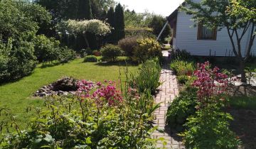 Działka rod Białystok Centrum