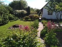 Działka rod Białystok Centrum. Zdjęcie 1