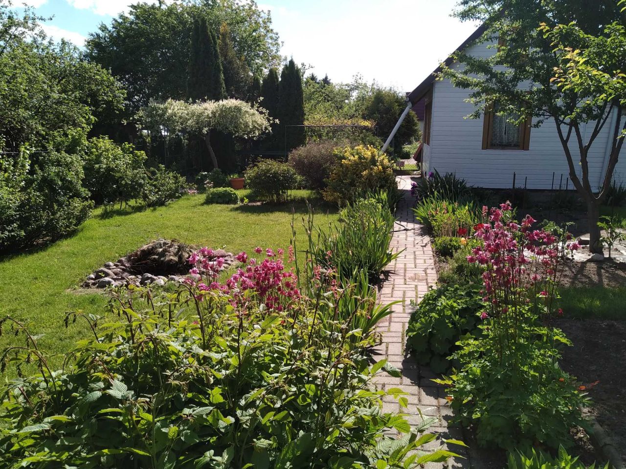 Działka rod Białystok Centrum. Zdjęcie 2