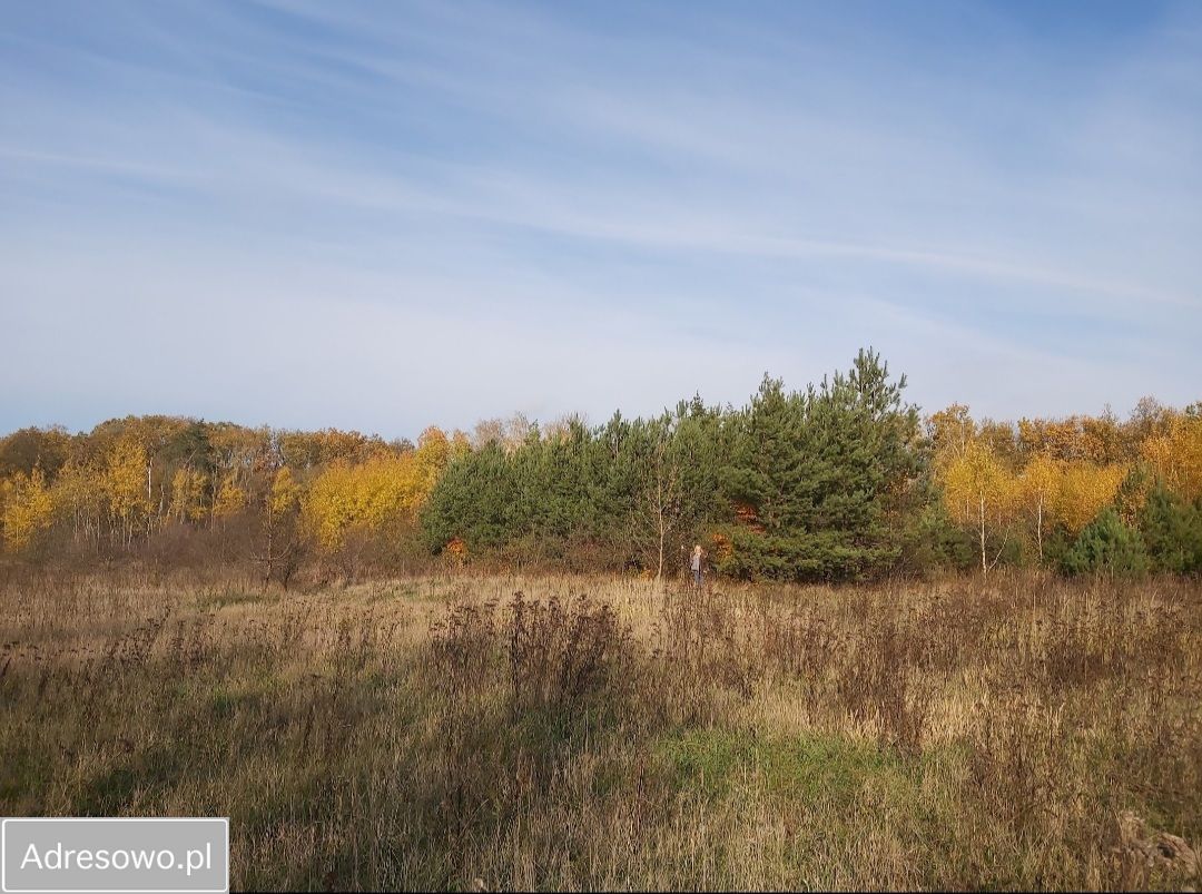Działka budowlana Choceń, ul. Polna. Zdjęcie 13
