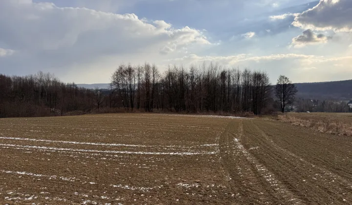 Działka budowlana Jedlicze Męcinka, ul. Partyzantów