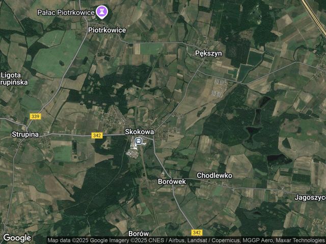 Działka siedliskowa Skokowa, ul. Prusicka. Zdjęcie 1