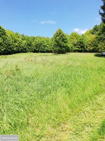 Działka budowlana Ślemień, ul. Dębowa. Zdjęcie 1