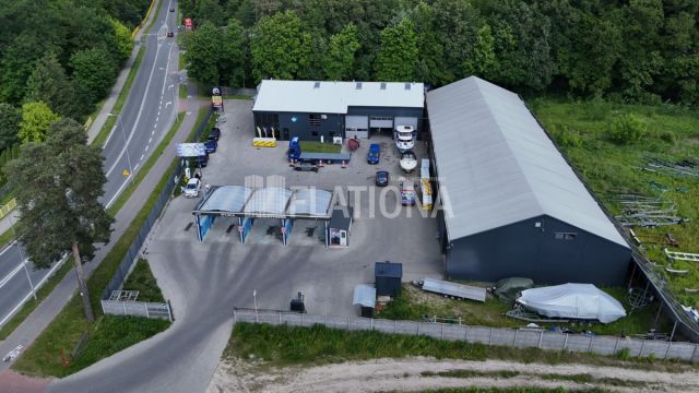 Lokal Iława, ul. Henryka Sienkiewicza. Zdjęcie 5