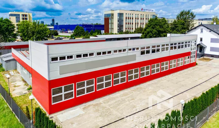 Lokal Rzeszów, ul. Witolda