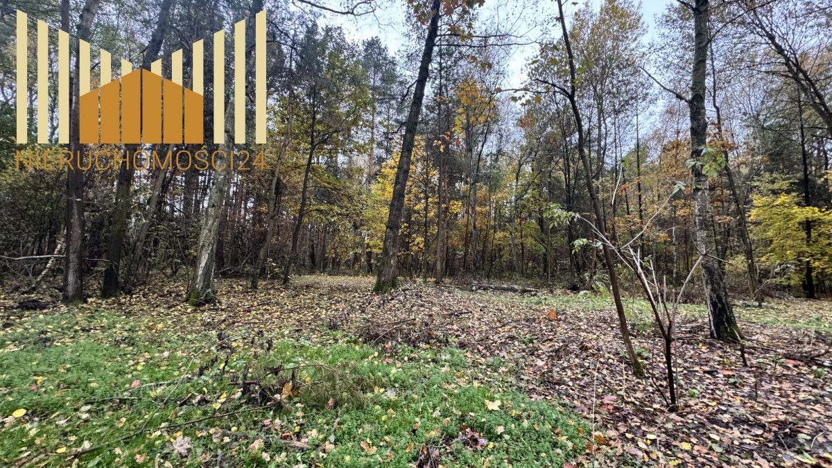 Działka budowlana Iłówiec. Zdjęcie 5