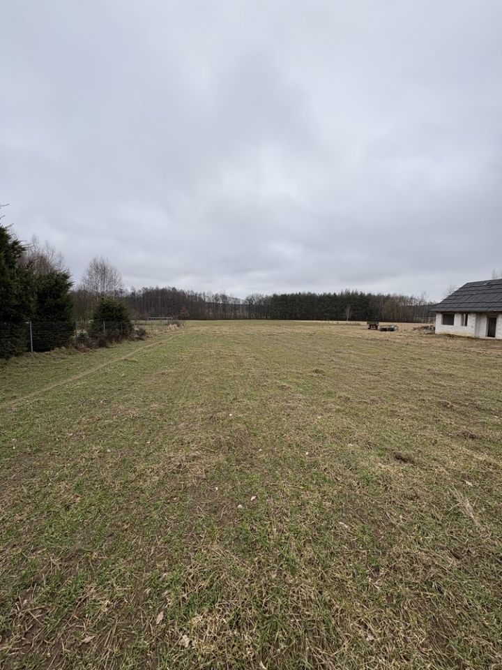 Działka budowlana Sądrożyce Dąbrowa. Zdjęcie 3