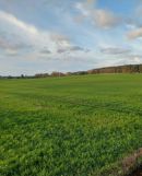 Działka budowlana Łagówek. Zdjęcie 2